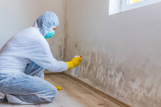 Licensed Commercial Mold Remediation service in Pequannock, NJ - WQB Mold Removal