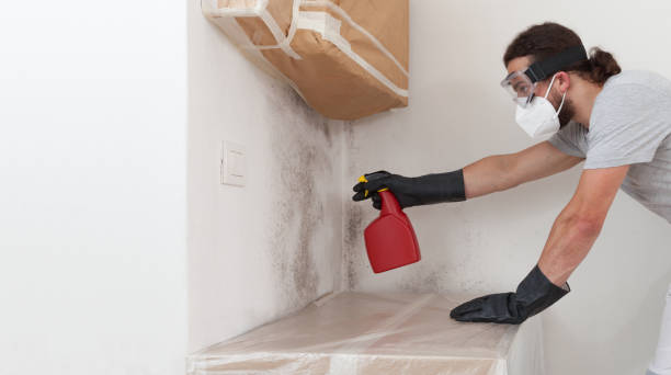 Professional Commercial Mold Remediation technician working in Pequannock, NJ