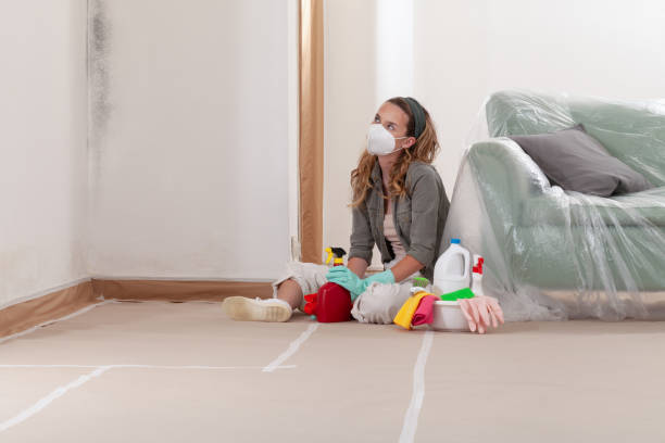 Reliable Commercial Mold Remediation contractor in Pequannock, NJ by WQB Mold Removal